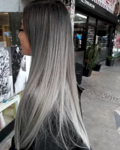 Lon Ash Grey Hair