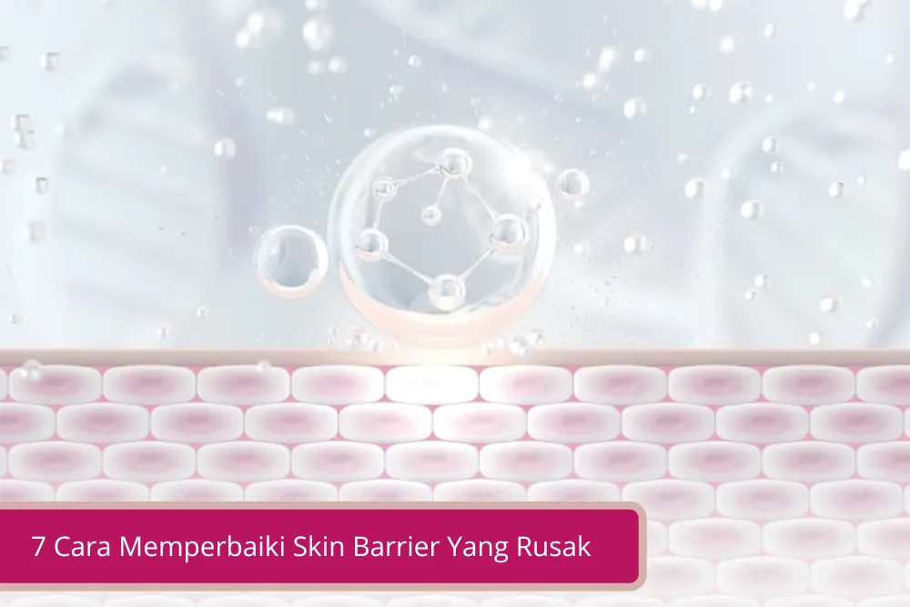 Gambar 7 Cara Memperbaiki Skin Barrier Yang Rusak Siap – Siap Awet Mudah Deh